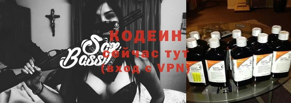 прущие крисы Бородино