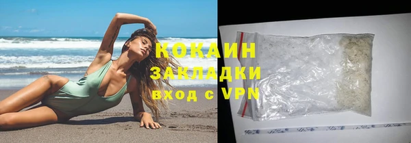 прущие крисы Бородино