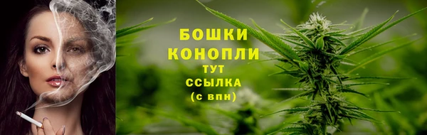 спиды Бронницы