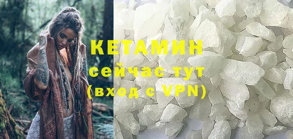 прущие крисы Бородино