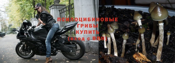 молекула духа Бугульма