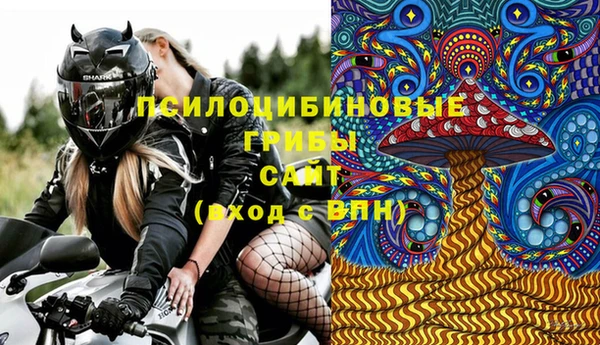 спиды Бронницы