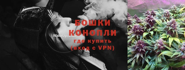 прущие крисы Бородино