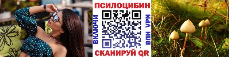 Псилоцибиновые грибы Cubensis где продают наркотики Глазов